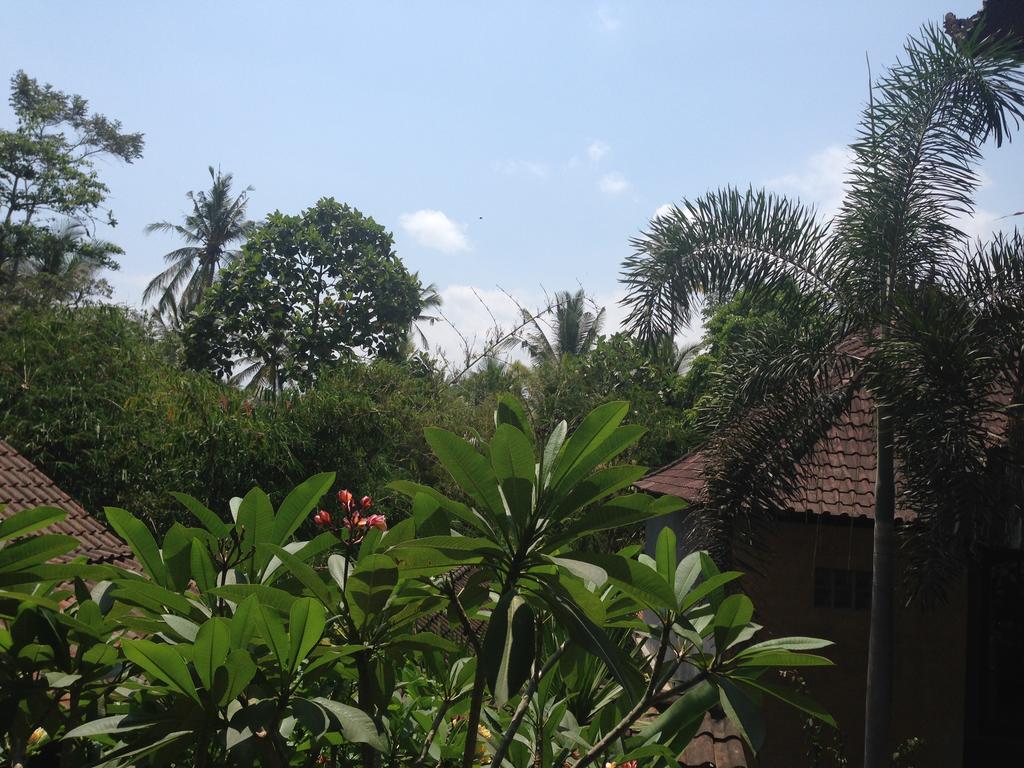 Ubud Rooms B&B Δωμάτιο φωτογραφία