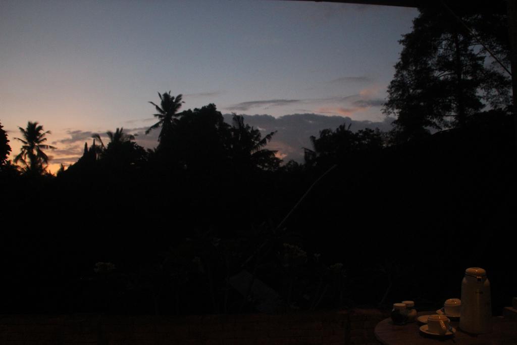 Ubud Rooms B&B Εξωτερικό φωτογραφία